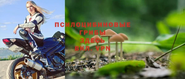 мдпв Вяземский