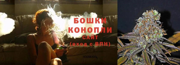 мдпв Вяземский