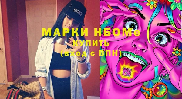 мдпв Вяземский