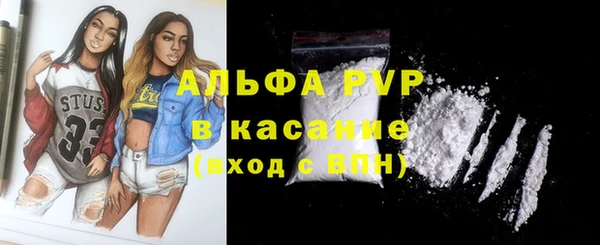 мдпв Вяземский