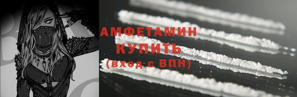 мдпв Вяземский