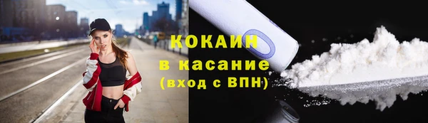 мдпв Вяземский