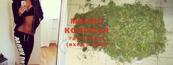 мдпв Вяземский