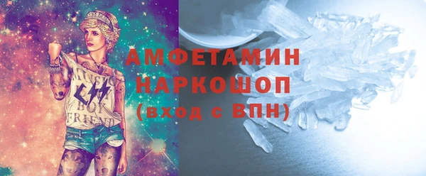 мдпв Вяземский