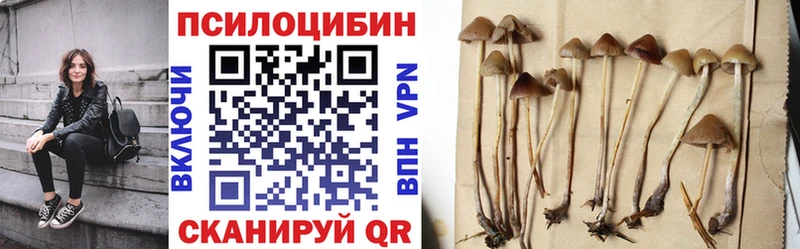 Галлюциногенные грибы мицелий  Купить  Верея 